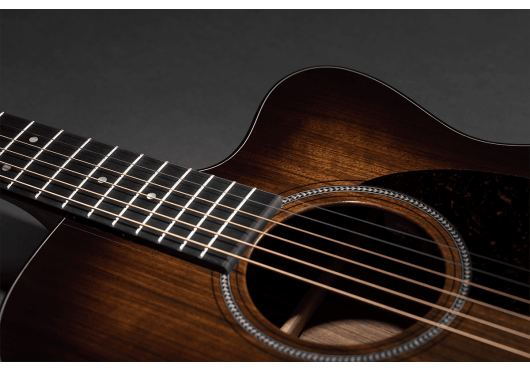 MARTIN & CO. Guitares acoustiques OMC-16-BST