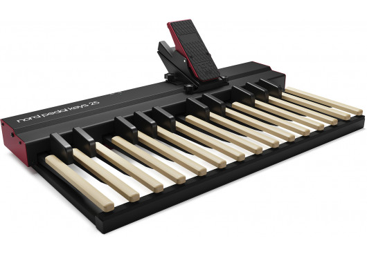 NORD ORGUE PK25