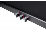 NUX Pianos Numériques NCK-330