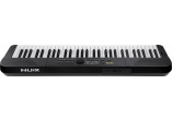NUX Pianos Numériques NEK-100