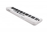 NUX Pianos Numériques NEK-110