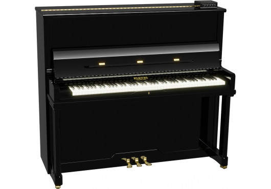 PLEYEL Systèmes Magistral PAMS-EU