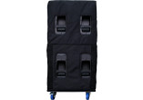 LS218-CVRX QSC AUDIO Line Array Actifs LS218-CVRX
