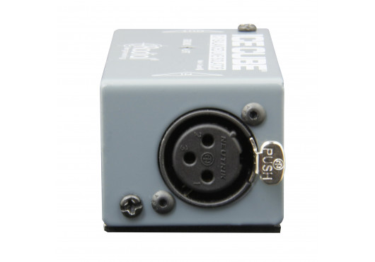 RADIAL ENGINEERING Sonorisation ICECUBE-IC-1