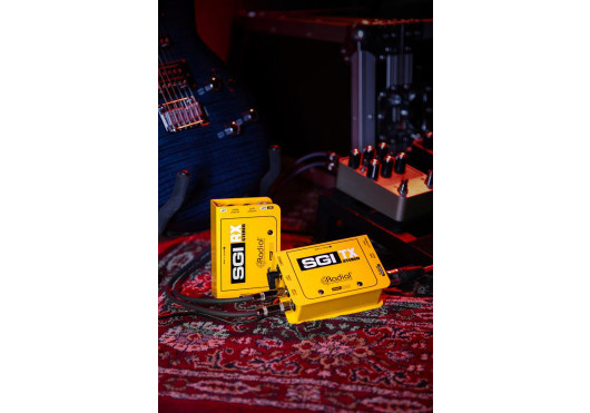 SGI-STEREO-RX RADIAL ENGINEERING Modules longue portée SGI-STEREO-RX