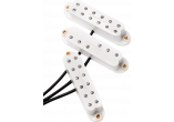 SEYMOUR DUNCAN Humbucker Format Simple AXE-SET-W