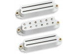 ESD DM-SET-W