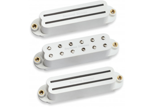 SEYMOUR DUNCAN Humbucker Format Simple DM-SET-W