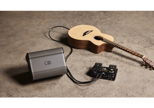 SHEERAN LOOPERS SONO PORTABLE BUSKER-SE