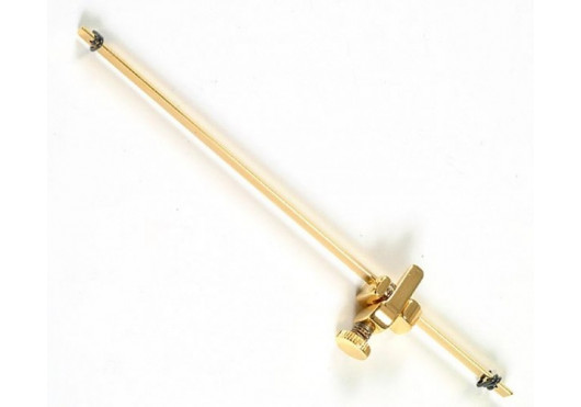 SHUBB CAPODASTRES FSG