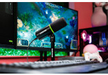 SHURE MICROS NUMERIQUES MV6