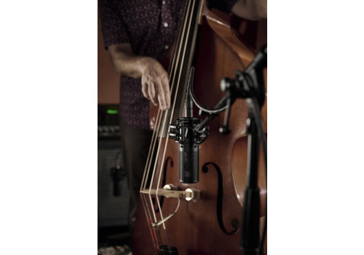 SHURE MICROS FILAIRES KSM44MP