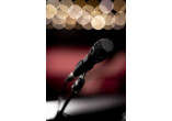 SHURE MICROS FILAIRES NXN8-C