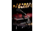 SHURE MICROS FILAIRES NXN8-S