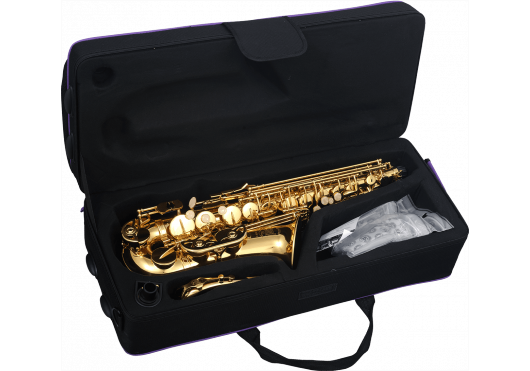 SML PARIS Saxophones A420-II