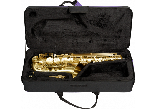 SML PARIS SAXOPHONES A420-II-BM