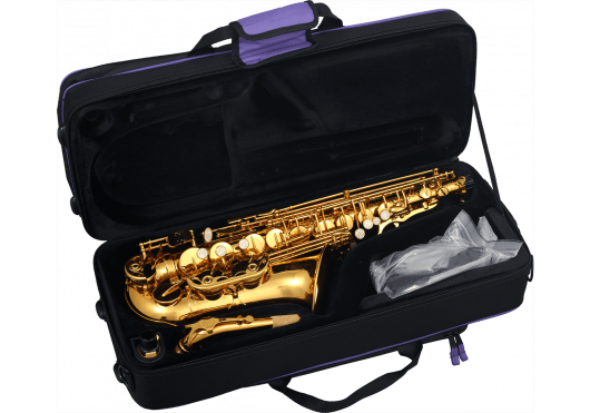 SML PARIS Saxophones A620-II