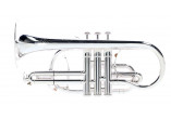 CO870-S SML PARIS CORNETS CO870-S
