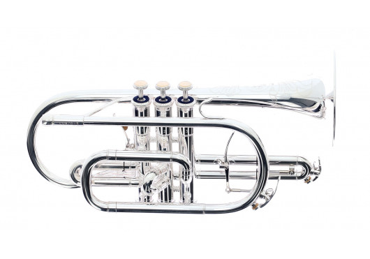 SML PARIS CORNETS CO870-S