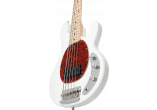 STERLING BY MUSIC MAN STERLING RAY25CA-OWH-M1