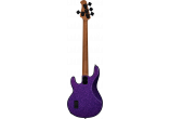 STERLING BY MUSIC MAN STERLING RAY34-PSK-R2