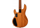 STERLING BY MUSIC MAN STERLING RAY34HHPB-AM-R2