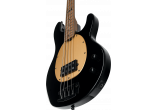 STERLING BY MUSIC MAN STERLING ST-WENTZ-BK-M2