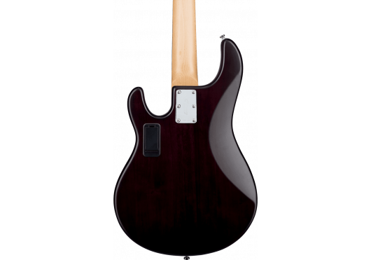 STERLING BY MUSIC MAN SUB RAY5-WS-R1