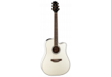 TAKAMINE GUITARES ACOUSTIQUES GD37CE-PW