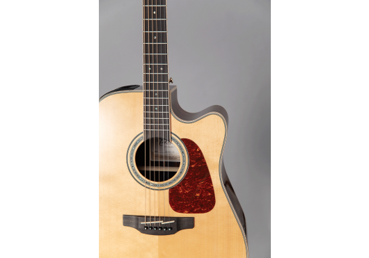 TAKAMINE GUITARES ACOUSTIQUES GD90CEMD-NAT