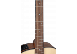 TAKAMINE GUITARES ACOUSTIQUES GLD12ENS