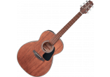 TAKAMINE GUITARES ACOUSTIQUES GLN11ENS