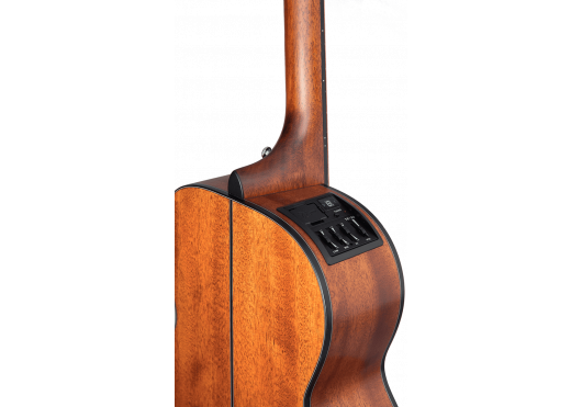 TAKAMINE GUITARES ACOUSTIQUES GLN11ENS