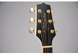 TAKAMINE GUITARES ACOUSTIQUES GN37CE-PW