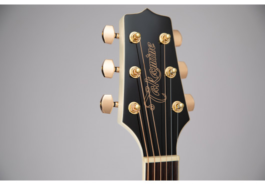 TAKAMINE GUITARES ACOUSTIQUES GN37CE-PW
