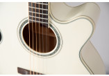 TAKAMINE GUITARES ACOUSTIQUES GN37CE-PW