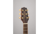 TAKAMINE GUITARES ACOUSTIQUES GX31CE-NS