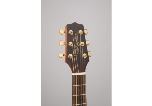 TAKAMINE GUITARES ACOUSTIQUES GX31CE-NS