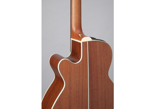 TAKAMINE GUITARES ACOUSTIQUES GX31CE-NS