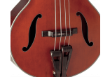 TAKAMINE BASSES ACOUSTIQUES DB10