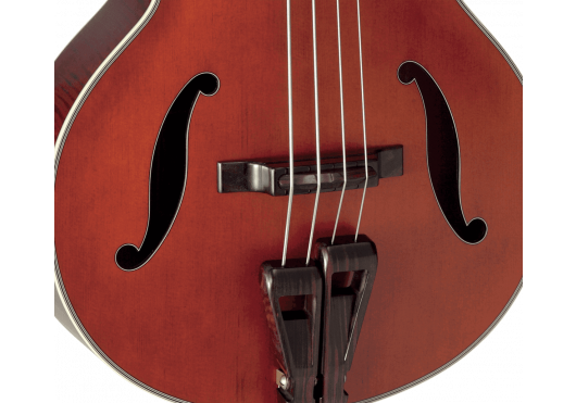 TAKAMINE BASSES ACOUSTIQUES DB10