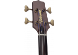 TAKAMINE BASSES ACOUSTIQUES DB10