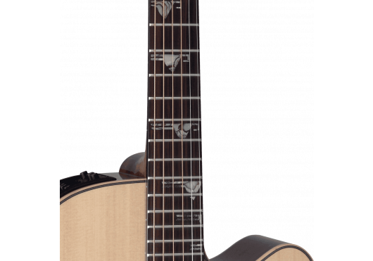 TAKAMINE GUITARES ACOUSTIQUES DSF48C