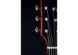 TAKAMINE Guitares acoustiques EF340S-TT