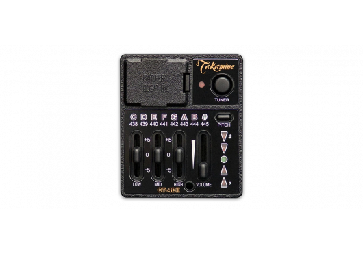 TAKAMINE GUITARES ACOUSTIQUES EF341DX
