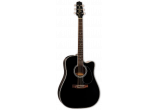 TAKAMINE GUITARES ACOUSTIQUES EF341DX