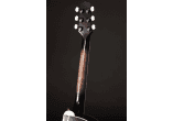 TAKAMINE Guitares acoustiques EF450CTTBB