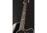 TAKAMINE Guitares acoustiques EF450CTTBB