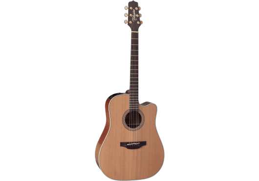 TAKAMINE Guitares acoustiques EN10C
