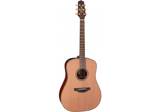 TAKAMINE GUITARES ACOUSTIQUES FN15AR